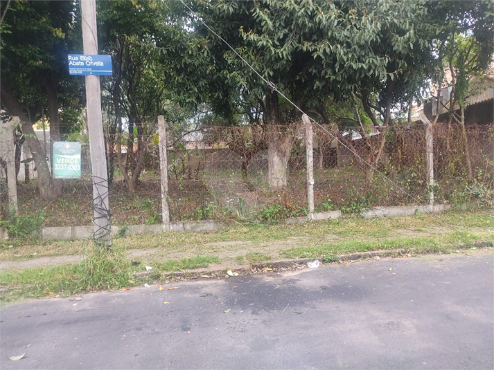Foto REO1069303