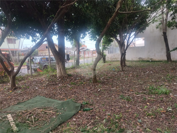 Foto REO1069303