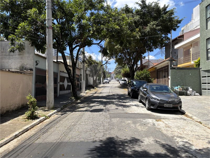 Foto REO1069304