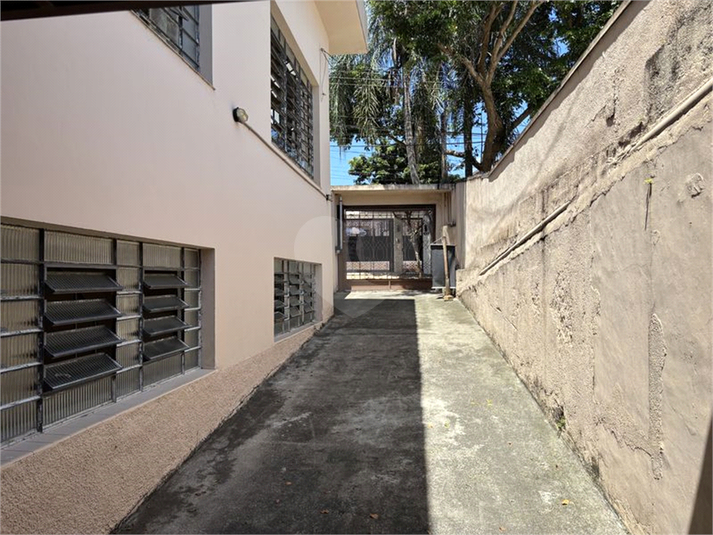 Foto REO1069304