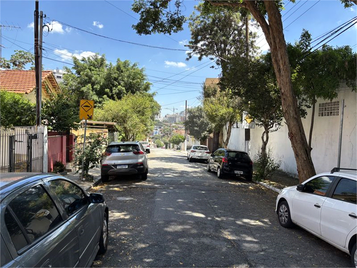 Foto REO1069304