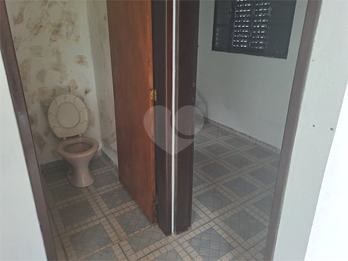 Foto REO1069325