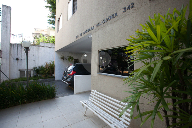 Foto REO1069336