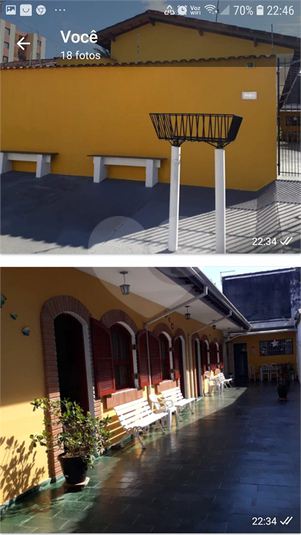 Foto REO1069364