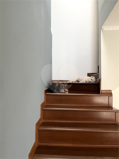 Foto REO1069401