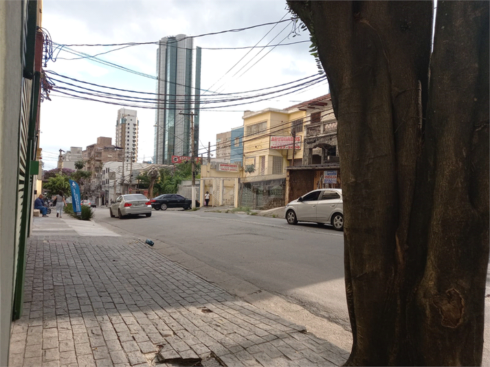 Foto REO1069414