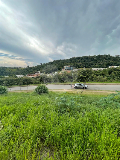 Foto REO1069416