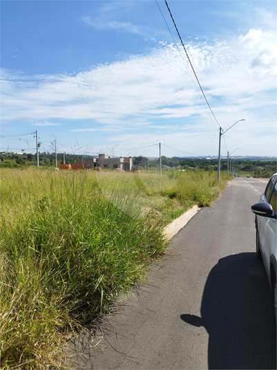Foto REO1069436