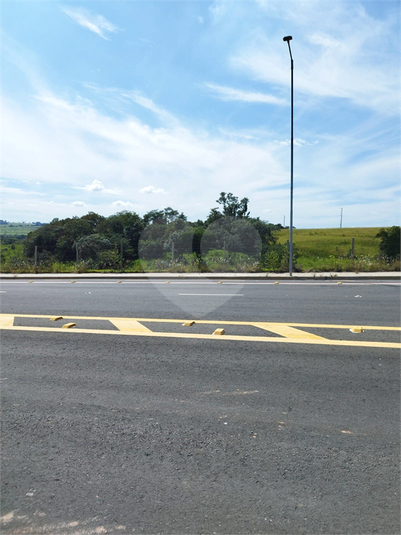 Foto REO1069436