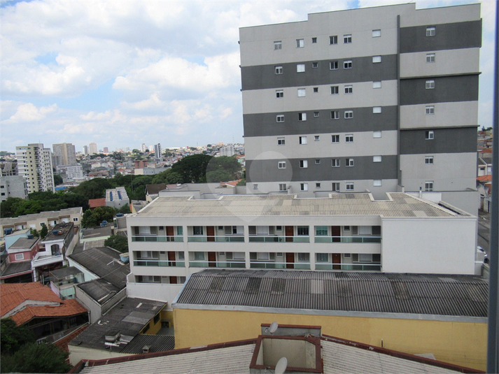 Foto REO1069472