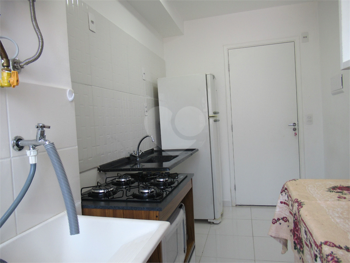 Foto REO1069472