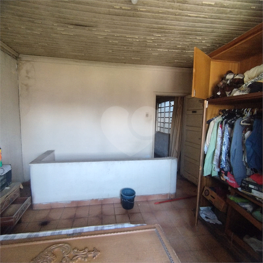 Foto REO1069473