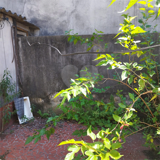 Foto REO1069473