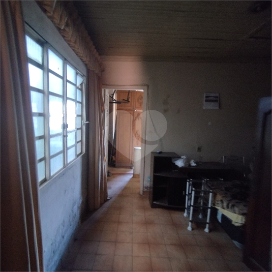 Foto REO1069473