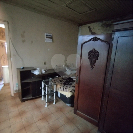 Foto REO1069473