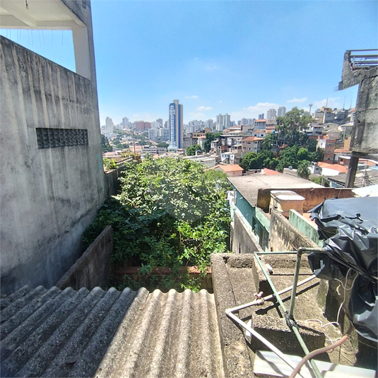 Foto REO1069473