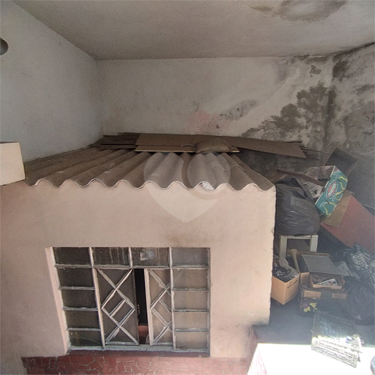 Foto REO1069473