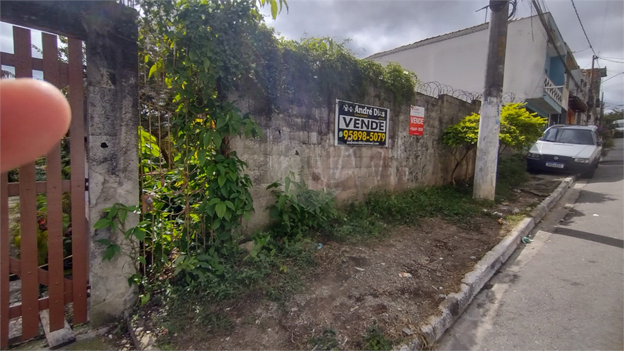 Foto REO1069475