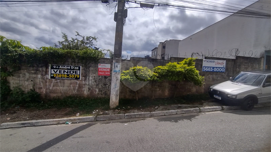 Foto REO1069475