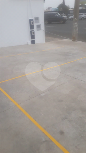 Foto REO1069480