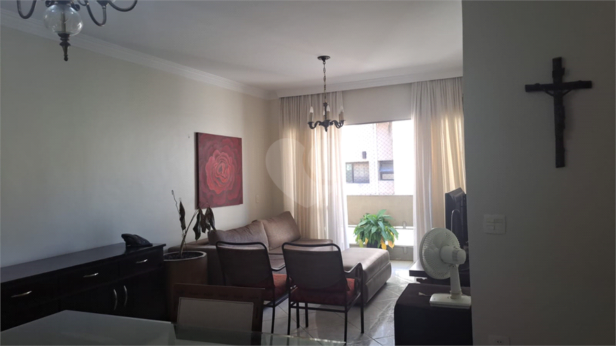 Foto REO1069482