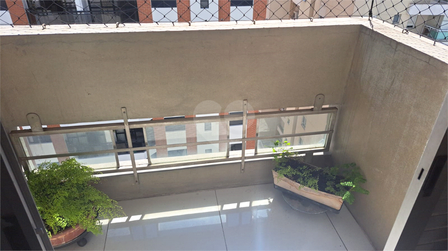 Foto REO1069482