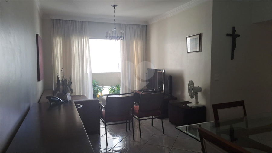 Foto REO1069482
