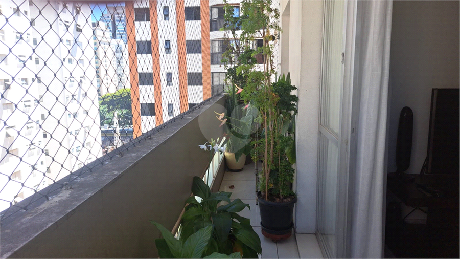 Foto REO1069482