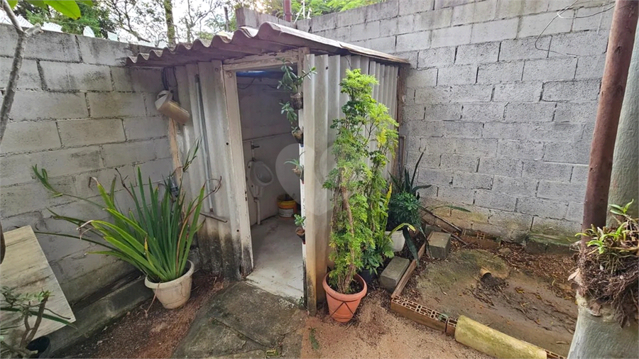 Foto REO1069484