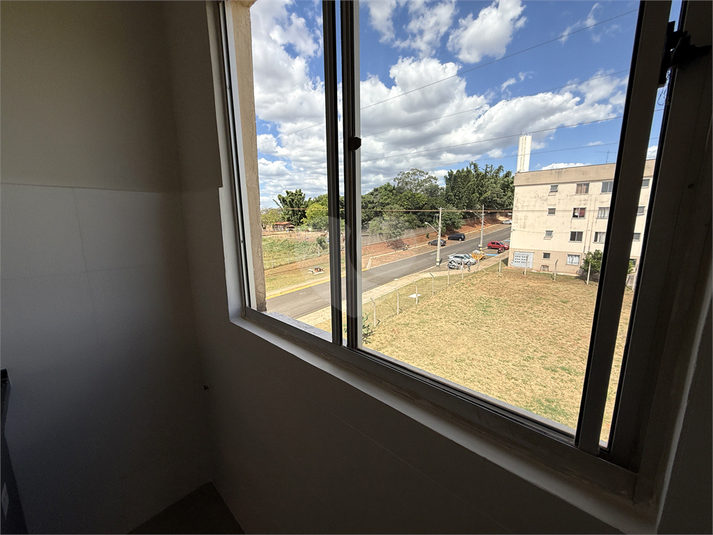 Foto REO1069485