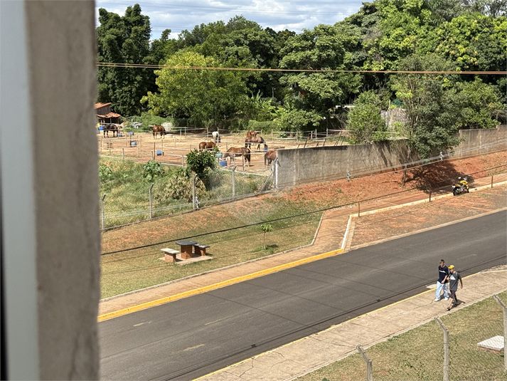 Foto REO1069485