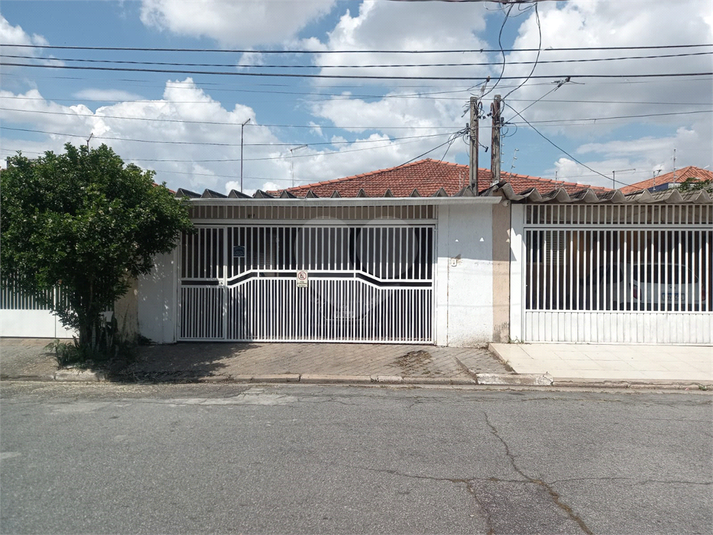 Foto REO1069506