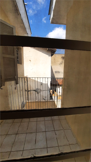 Foto REO1069512