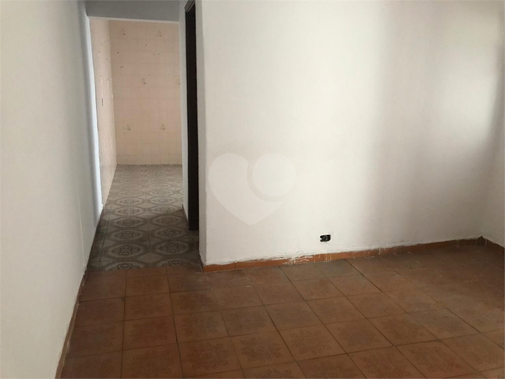Foto REO1069532