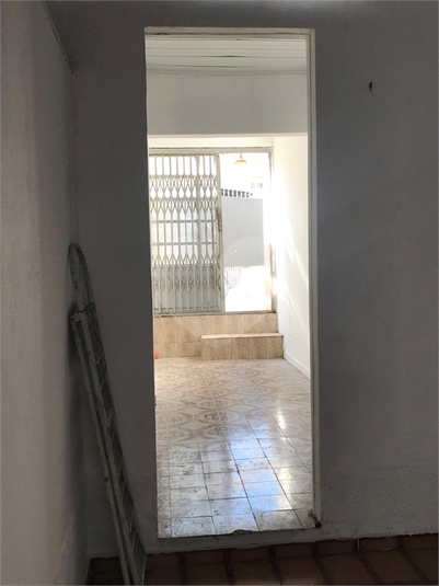 Foto REO1069532