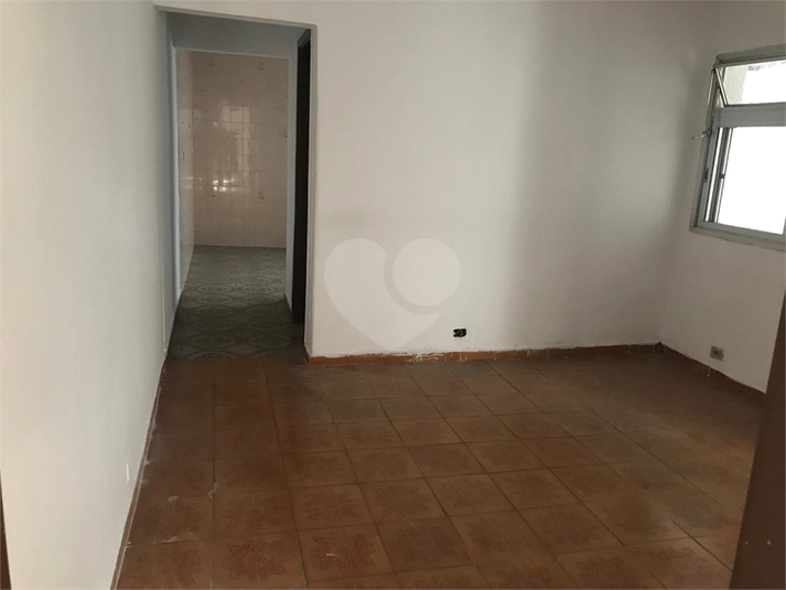 Foto REO1069532