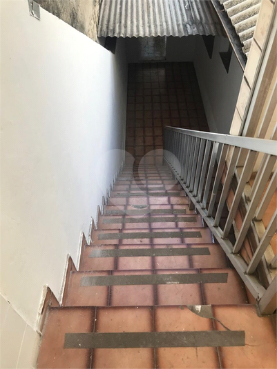 Foto REO1069532