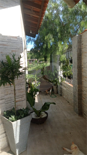 Foto REO1069571