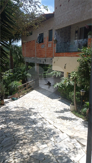 Foto REO1069571