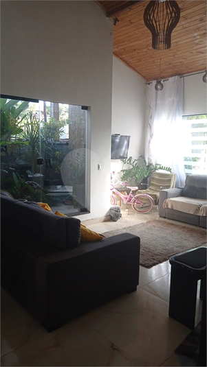 Foto REO1069571
