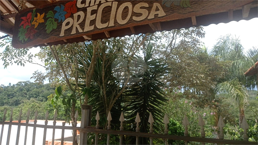 Foto REO1069571