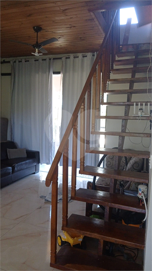 Foto REO1069571