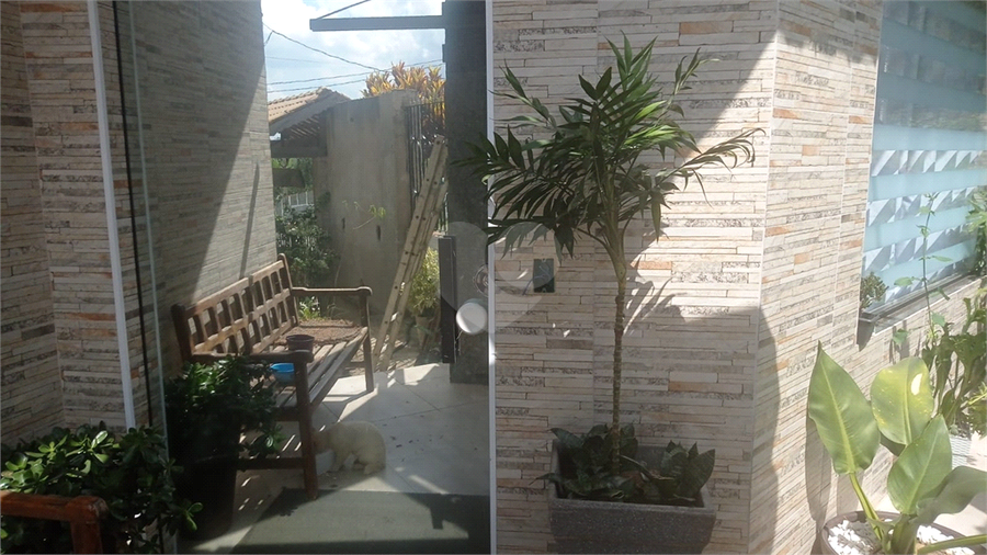 Foto REO1069571