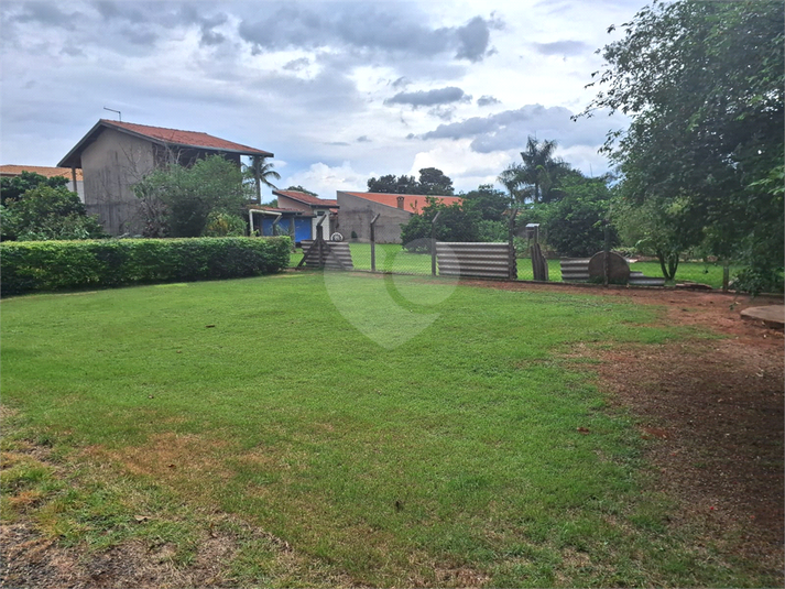 Foto REO1069576