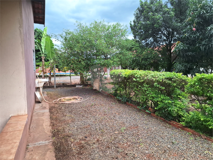 Foto REO1069576