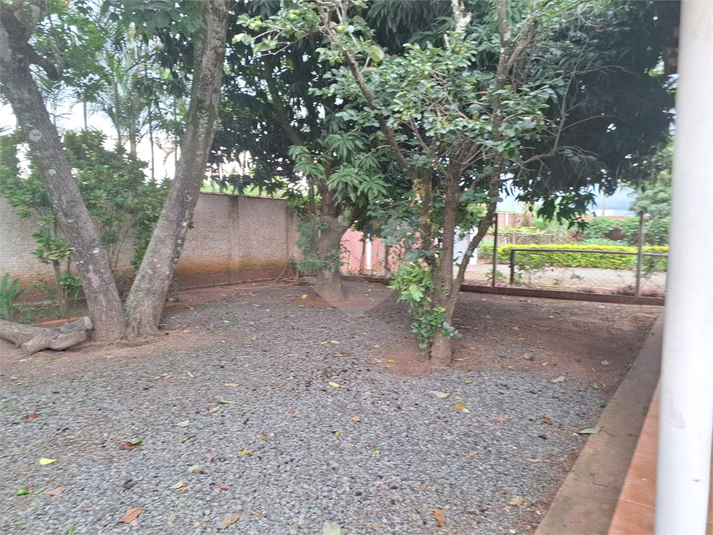 Foto REO1069576