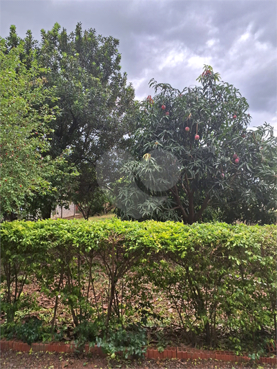Foto REO1069576