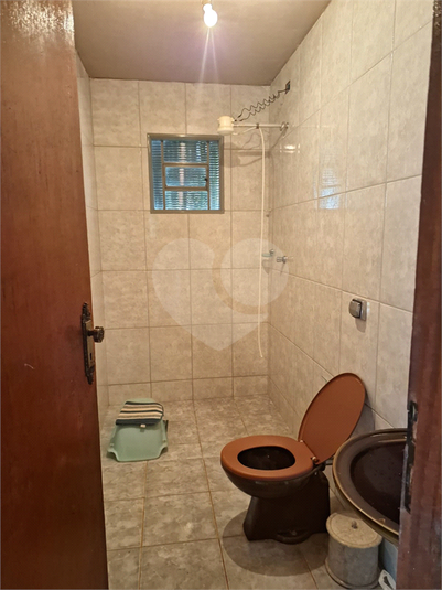 Foto REO1069576