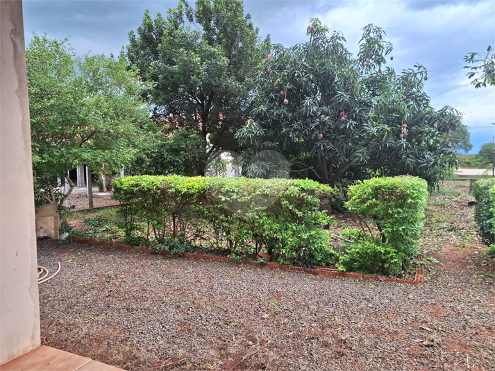 Foto REO1069576