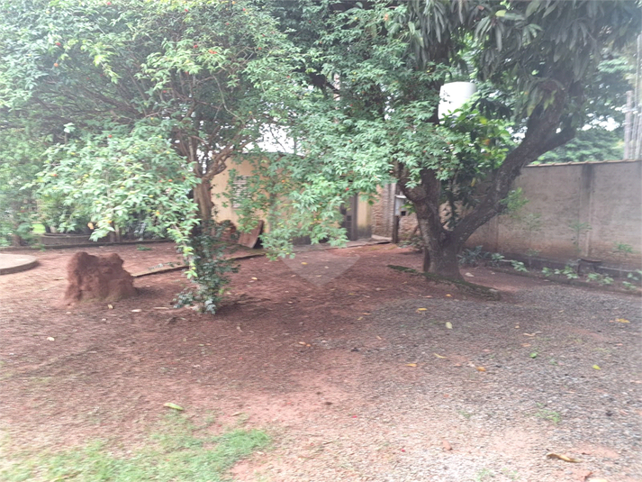 Foto REO1069576